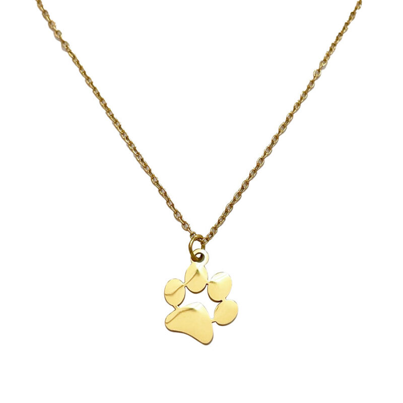 Κολιέ Stainless Steel Πατουσάκι